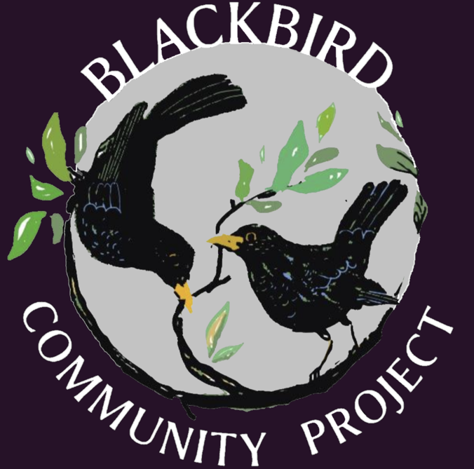 Blackbird Learning Circle: PROGRESS REPORT [1]